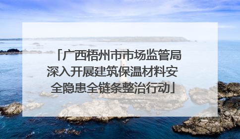 广西梧州市市场监管局深入开展建筑保温材料安全隐患全链条整治行动