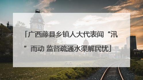 广西藤县乡镇人大代表闻“汛”而动 监督疏通水渠解民忧