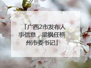 广西2市发布人事信息，梁枫任横州市委书记