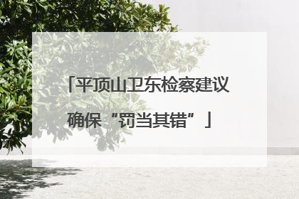 平顶山卫东检察建议确保“罚当其错”
