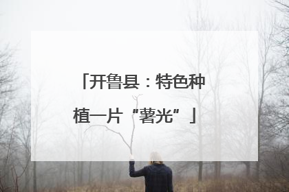 开鲁县：特色种植一片“薯光”