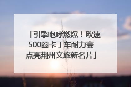 引擎咆哮燃爆！欧速500圈卡丁车耐力赛点亮荆州文旅新名片