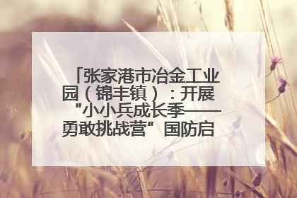 张家港市冶金工业园（锦丰镇）：开展“小小兵成长季——勇敢挑战营”国防启蒙教育活动