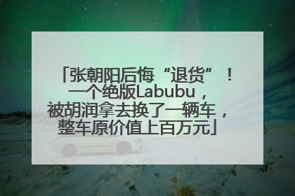 张朝阳后悔“退货”！一个绝版Labubu，被胡润拿去换了一辆车，整车原价值上百万元