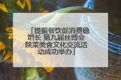提振餐饮促消费稳增长 第九届丝博会陕菜美食文化交流活动成功举办