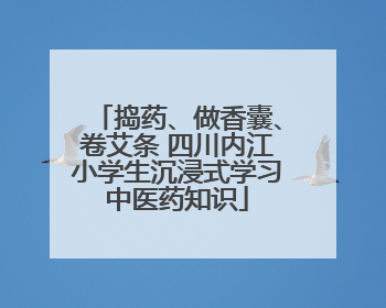捣药、做香囊、卷艾条 四川内江小学生沉浸式学习中医药知识