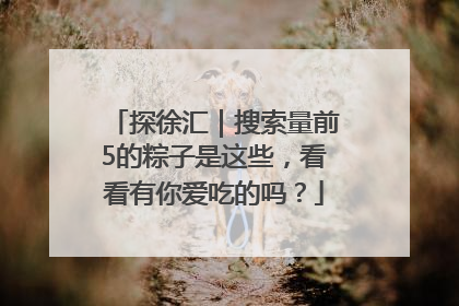 探徐汇｜搜索量前5的粽子是这些，看看有你爱吃的吗？