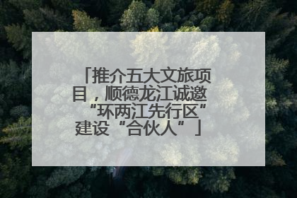 推介五大文旅项目，顺德龙江诚邀“环两江先行区”建设“合伙人”