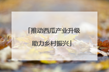 推动西瓜产业升级 助力乡村振兴