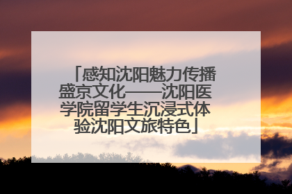 感知沈阳魅力传播盛京文化——沈阳医学院留学生沉浸式体验沈阳文旅特色