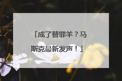 成了替罪羊？马斯克最新发声！