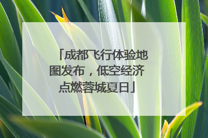 成都飞行体验地图发布，低空经济点燃蓉城夏日