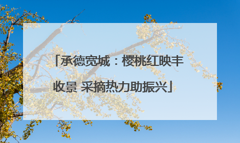 承德宽城：樱桃红映丰收景 采摘热力助振兴