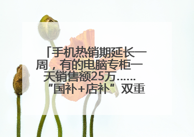 手机热销期延长一周，有的电脑专柜一天销售额25万……“国补+店补”双重优惠点燃德州“考后经济”