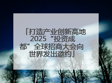 打造产业创新高地 2025“投资成都”全球招商大会向世界发出邀约