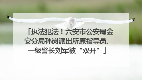 执法犯法！六安市公安局金安分局孙岗派出所原指导员、一级警长刘军被“双开”