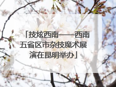 技炫西南——西南五省区市杂技魔术展演在昆明举办