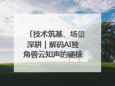 技术筑基、场景深耕｜解码AI独角兽云知声的硬核实力版图