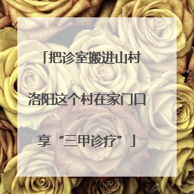 把诊室搬进山村 洛阳这个村在家门口享“三甲诊疗”