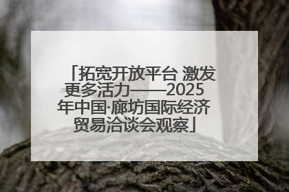 拓宽开放平台 激发更多活力——2025年中国·廊坊国际经济贸易洽谈会观察