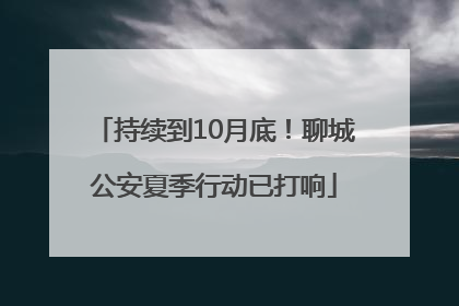 持续到10月底！聊城公安夏季行动已打响