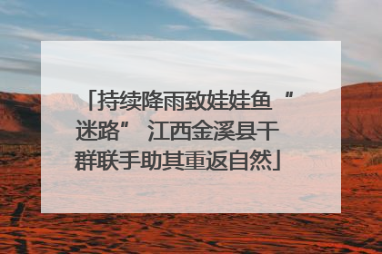 持续降雨致娃娃鱼“迷路” 江西金溪县干群联手助其重返自然