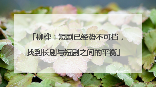 柳桦:短剧已经势不可挡,找到长剧与短剧之间的平衡