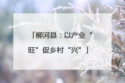 柳河县：以产业“旺”促乡村“兴”