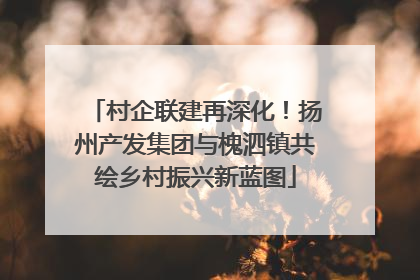 村企联建再深化！扬州产发集团与槐泗镇共绘乡村振兴新蓝图