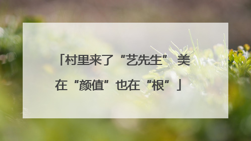 村里来了“艺先生” 美在“颜值”也在“根”
