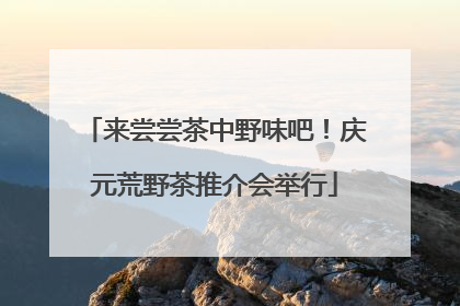 来尝尝茶中野味吧！庆元荒野茶推介会举行