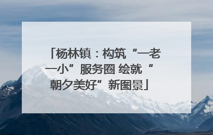 杨林镇：构筑“一老一小”服务圈 绘就“朝夕美好”新图景