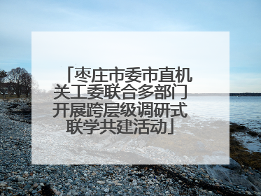 枣庄市委市直机关工委联合多部门开展跨层级调研式联学共建活动