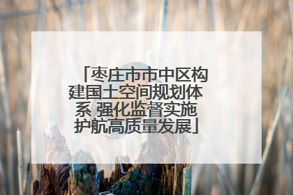 枣庄市市中区构建国土空间规划体系 强化监督实施护航高质量发展