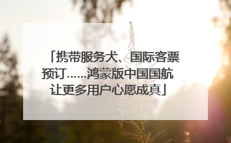 携带服务犬、国际客票预订……鸿蒙版中国国航让更多用户心愿成真