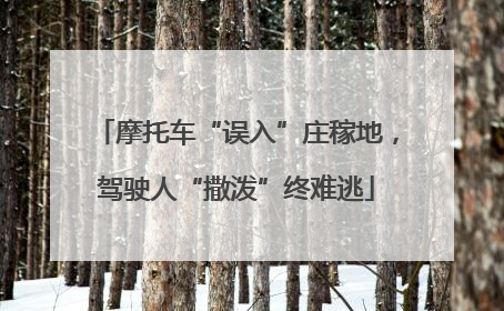 摩托车“误入”庄稼地，驾驶人“撒泼”终难逃