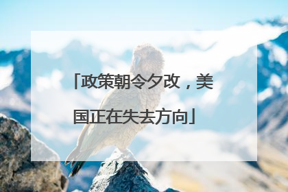政策朝令夕改，美国正在失去方向