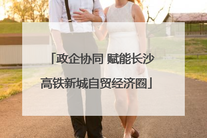 政企协同 赋能长沙高铁新城自贸经济圈