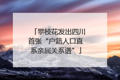 攀枝花发出四川首张“户籍人口直系亲属关系谱”