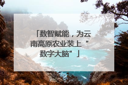 数智赋能，为云南高原农业装上“数字大脑”