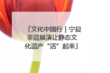 文化中国行｜宁夏 非遗展演让静态文化遗产“活”起来