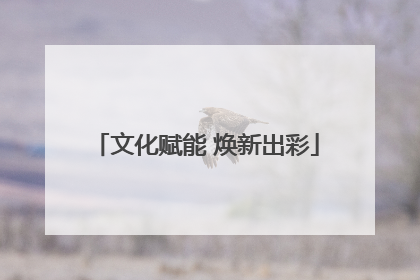 文化赋能 焕新出彩