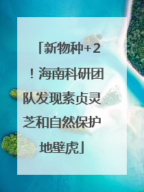 新物种+2！海南科研团队发现素贞灵芝和自然保护地壁虎