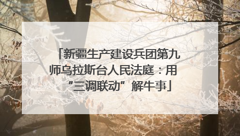 新疆生产建设兵团第九师乌拉斯台人民法庭：用“三调联动”解牛事