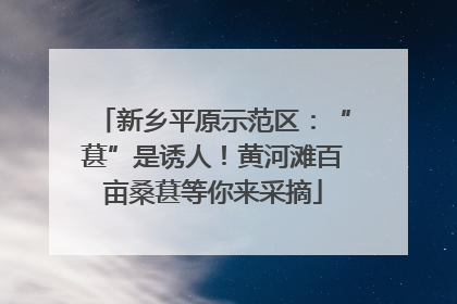 新乡平原示范区：“葚”是诱人！黄河滩百亩桑葚等你来采摘