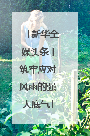 新华全媒头条丨筑牢应对风雨的强大底气