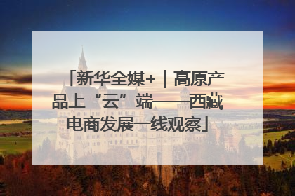 新华全媒+｜高原产品上“云”端——西藏电商发展一线观察