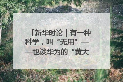 新华时论｜有一种科学，叫“无用”——也谈华为的“黄大年茶思屋”