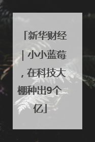 新华财经｜小小蓝莓，在科技大棚种出9个亿