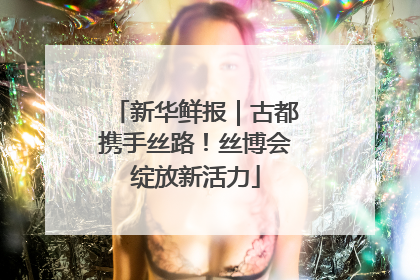 新华鲜报｜古都携手丝路！丝博会绽放新活力